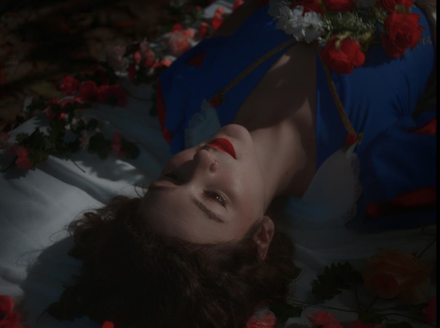 The End — image 1