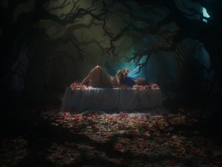 The End — image 3